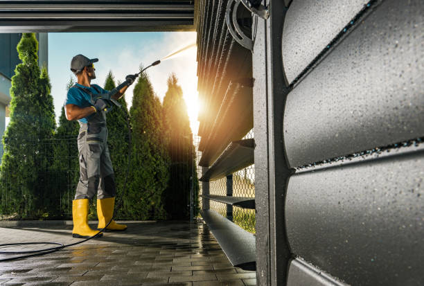 Best Best Pressure Washing Companies  in Donna, TX