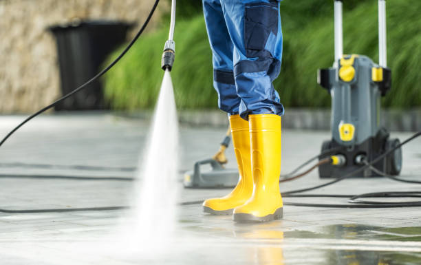 Best Pressure Washing Near Me  in Donna, TX