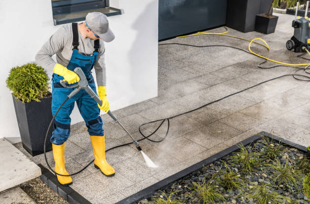 Best Affordable Power Washing  in Donna, TX